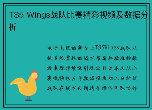TS5 Wings战队比赛精彩视频及数据分析